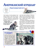 Кошки — фото, картинка — 9