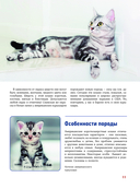 Кошки — фото, картинка — 10