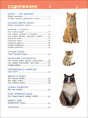 Кошки и котята. Энциклопедия для детского сада — фото, картинка — 1