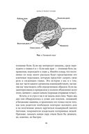 Боль в твоей голове. Откуда она берется и как от нее избавиться — фото, картинка — 17