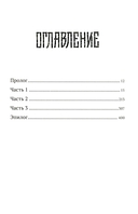 Падение оков. Рубеж стихий. Книга 4 — фото, картинка — 6