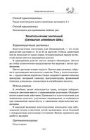 Травник — фото, картинка — 100