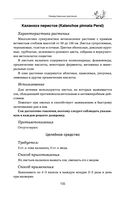 Травник — фото, картинка — 104