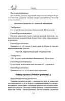 Травник — фото, картинка — 113