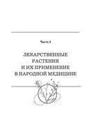 Травник — фото, картинка — 17