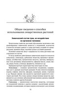 Травник — фото, картинка — 18