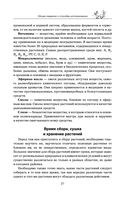 Травник — фото, картинка — 20