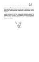 Травник — фото, картинка — 30