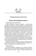 Травник — фото, картинка — 31