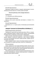 Травник — фото, картинка — 38