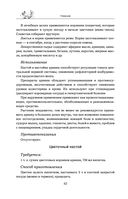 Травник — фото, картинка — 41