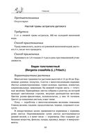 Травник — фото, картинка — 43