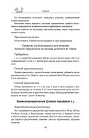 Травник — фото, картинка — 47