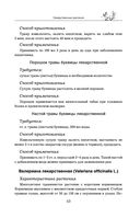 Травник — фото, картинка — 52