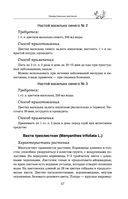 Травник — фото, картинка — 56