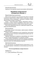 Травник — фото, картинка — 62