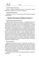 Травник — фото, картинка — 63