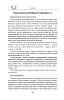 Травник — фото, картинка — 67