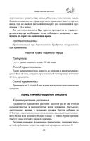 Травник — фото, картинка — 68