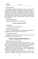 Травник — фото, картинка — 73