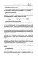 Травник — фото, картинка — 80