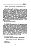 Травник — фото, картинка — 82