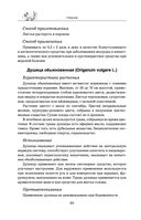 Травник — фото, картинка — 83