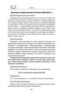 Травник — фото, картинка — 85