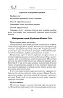 Травник — фото, картинка — 89