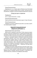 Травник — фото, картинка — 94