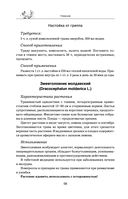 Травник — фото, картинка — 97