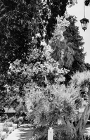 Записки светского паломника: справочник православного путешественника — фото, картинка — 5