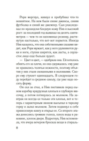 Комната лжи — фото, картинка — 4