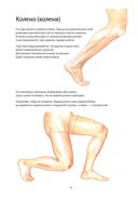 Анатомия йоги. Колени — фото, картинка — 5