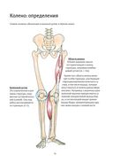 Анатомия йоги. Колени — фото, картинка — 6