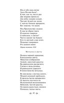 Золотой век русской поэзии — фото, картинка — 48