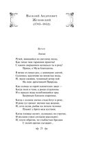 Золотой век русской поэзии — фото, картинка — 27