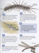 Динозавры. 250 фактов. Энциклопедия российского школьника — фото, картинка — 1