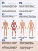 Человек. 250 фактов. Энциклопедия российского школьника — фото, картинка — 3