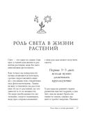 Больше, чем 5 соток. Как на маленьком участке получить максимум урожая — фото, картинка — 23