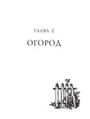 Больше, чем 5 соток. Как на маленьком участке получить максимум урожая — фото, картинка — 29