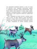 Пони Колокольчик. Чудеса на Северном полюсе — фото, картинка — 6