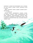 Пони Колокольчик. Чудеса на Северном полюсе — фото, картинка — 7