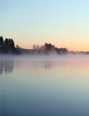 Связано с природой! 21 роскошный свитер с авторскими узорами, чтобы согреться в холода — фото, картинка — 1