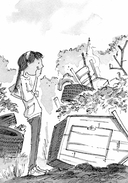 Необыкновенные куры для лучшего фермера-птицевода — фото, картинка — 16