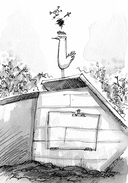 Необыкновенные куры для лучшего фермера-птицевода — фото, картинка — 26