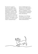 Пёс его знает! Что в голове у собаки, и как понять причины её поведения — фото, картинка — 50