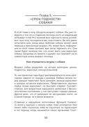 Пёс его знает! Что в голове у собаки, и как понять причины её поведения — фото, картинка — 51