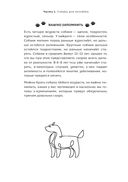 Пёс его знает! Что в голове у собаки, и как понять причины её поведения — фото, картинка — 59