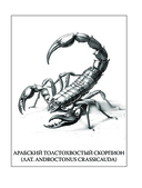 Инсектарикум — фото, картинка — 4